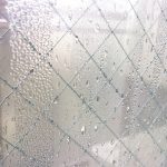梅雨の時期に気をつけたいカビ、これが原因で病気にもなるんですよ!