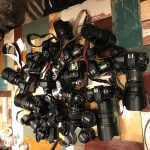 Nikon D500とAF-S NIKKOR 300mm f/4E PF ED VRでフォトウォーク、そして感想