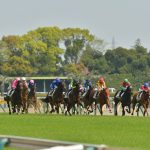 Nikon D500を持って東京競馬場に行って馬を撮ってみた