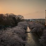 そごろぐ的半年を振り返ってみるのとこれからの半年