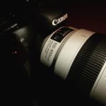 ごめんD500。Canon EOS 7D markⅡとEF100-400mm F4.5-5.6L IS II USMに変えた話