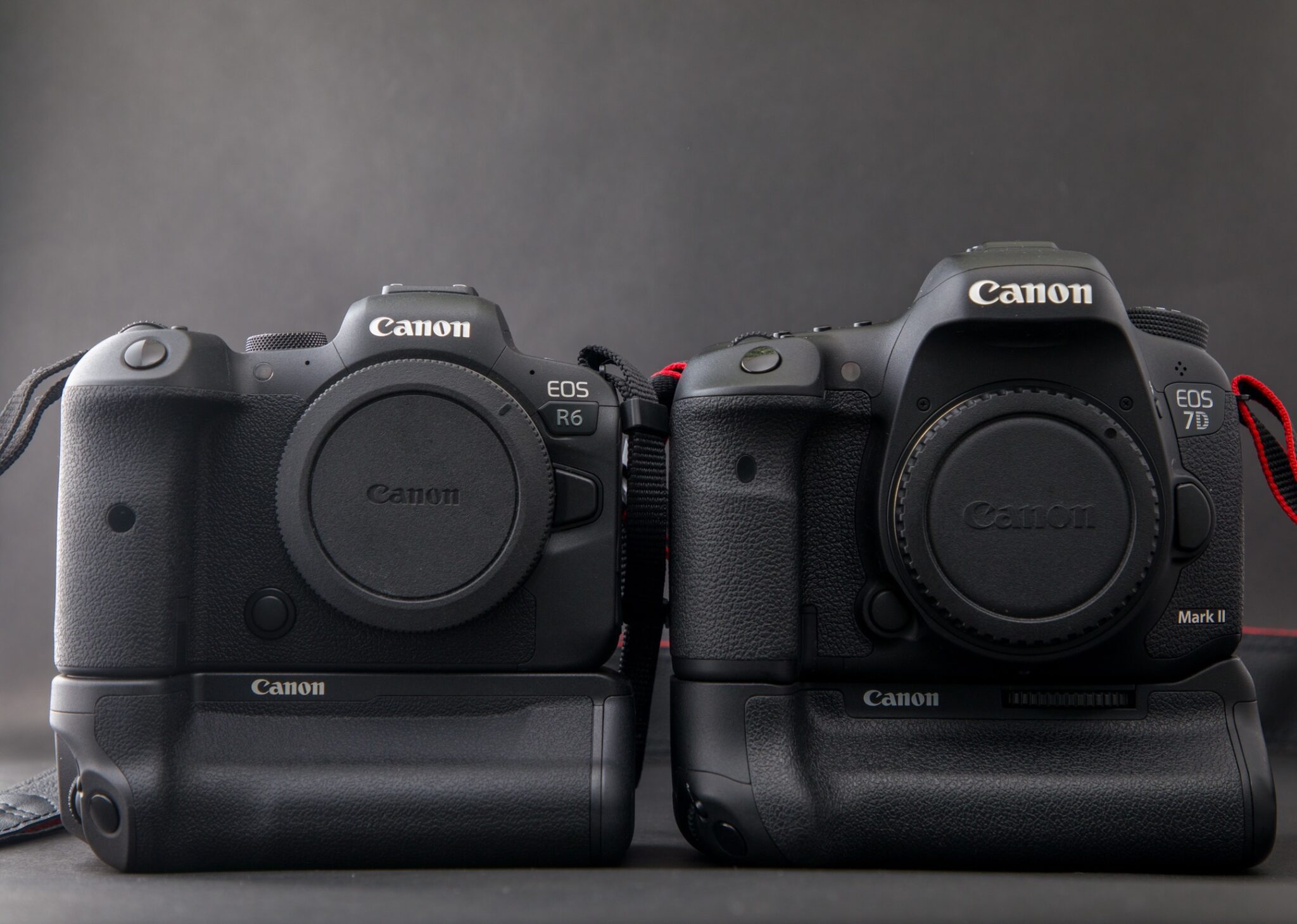 Canon EOS R6に縦グリップBG-R10を導入 | そごろぐ