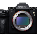 Canon EOS R6をSONY α9かα9Ⅱに入れ替えてもいいかなと思った話